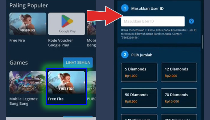 dana id games free fire - user id nominal pilih jumlah