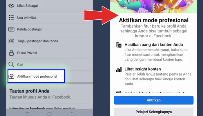 facebook aktifkan mode profesional