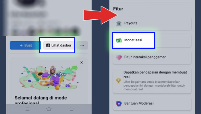 facebook pro lihat dasbor - monetisasi