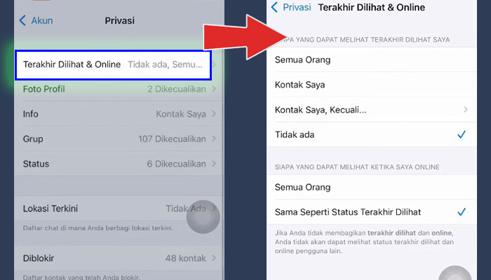 whatsapp iphone terakhir dilihat dan online - tidak ada