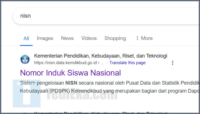 google nisn