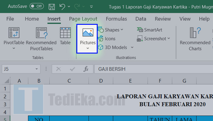 microsoft excel insert pictures