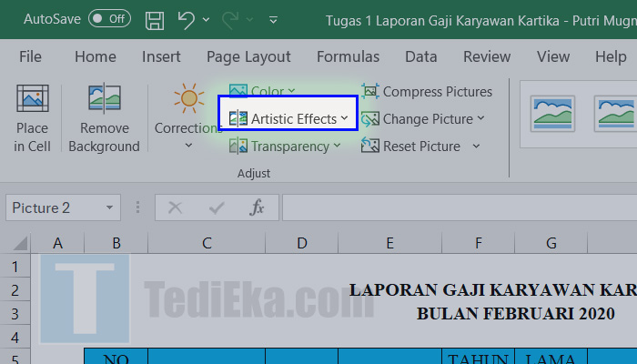 microsoft excel picture format artistic effects