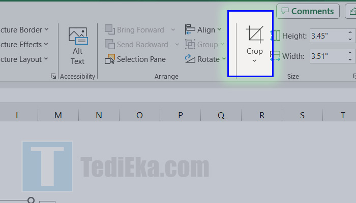 microsoft excel picture format crop