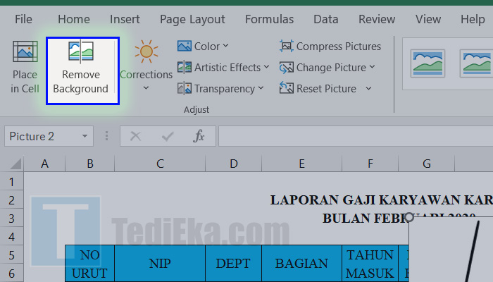 microsoft excel picture format remove background