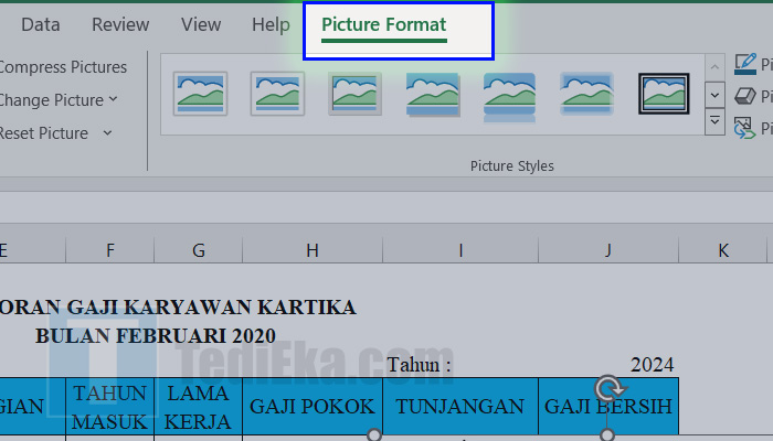 microsoft excel picture format
