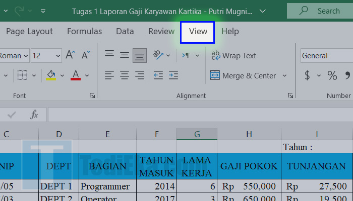 microsoft excel view