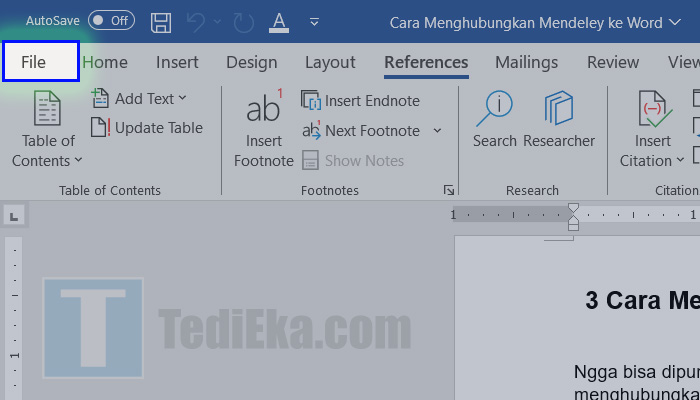 microsoft word file