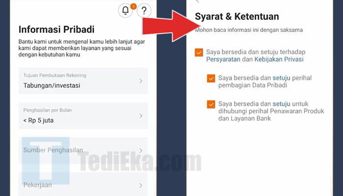 seabank daftar masukkan informasi pribadi - setujui syarat dan ketentuan