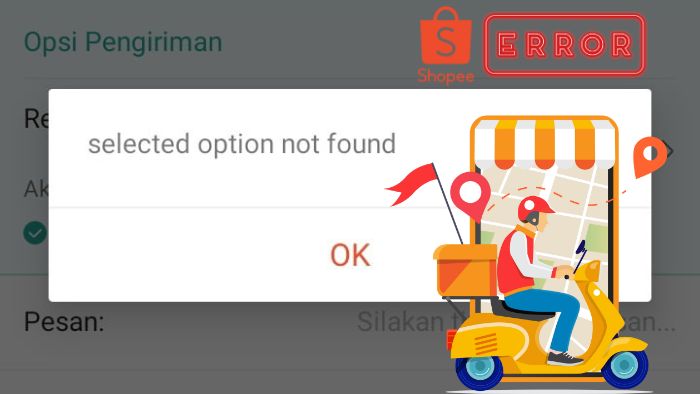 Selected Option Not Found Artinya