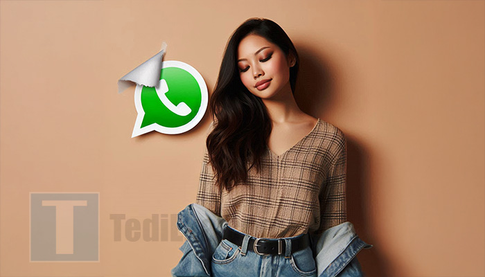 Menghilangkan Meta AI di WhatsApp